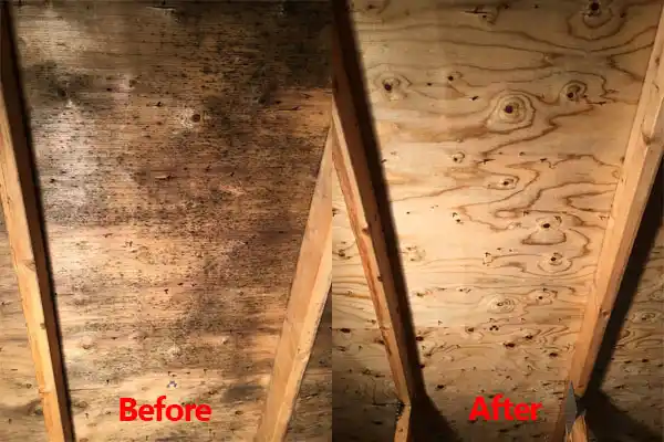 water damage restoration service San Felipe Pueblo